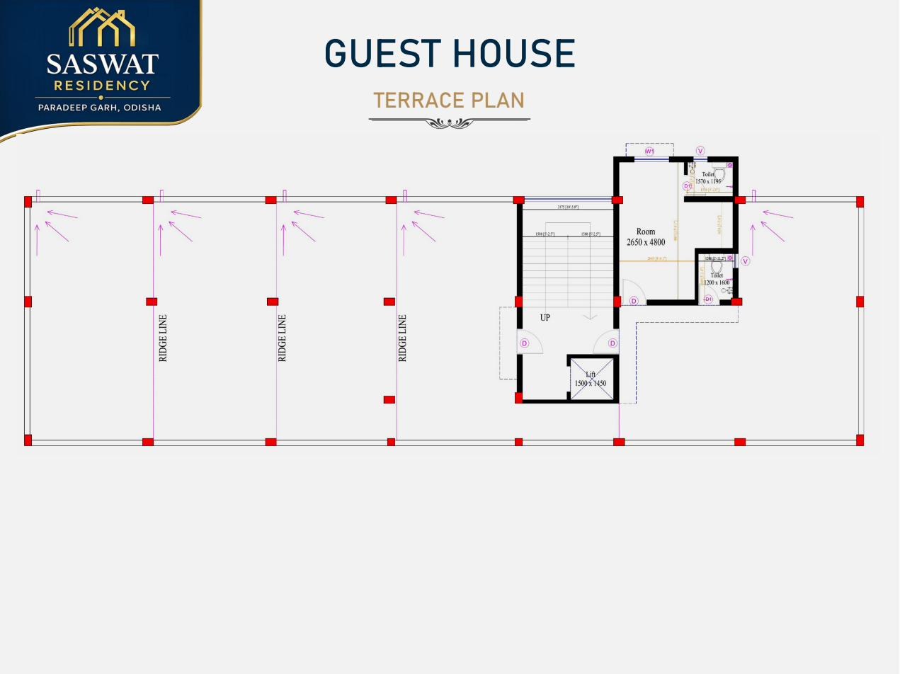 Saswat Residency terrace plan